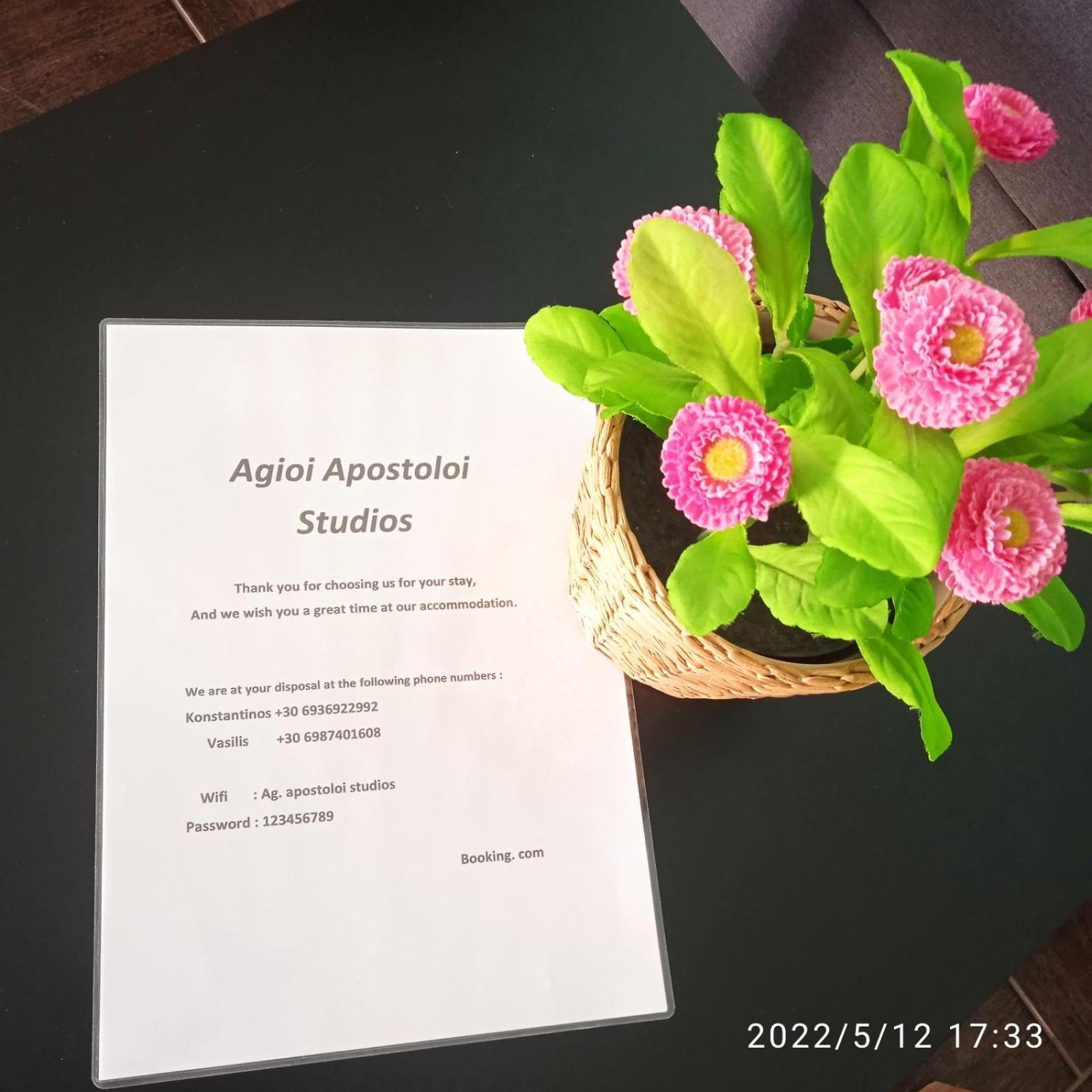 Ag.Apostoloi Studios 아이 아포스톨리 객실 사진